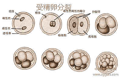 运势与风水学的关联？运势的实质是啥？