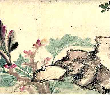 小众且超好听的女孩小名