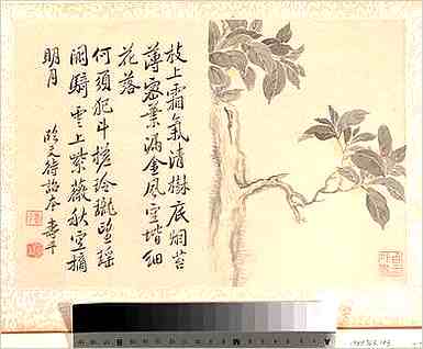 四柱八字名字测试