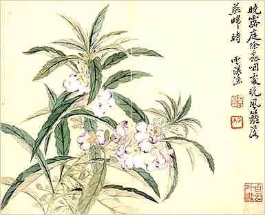 史部.续资治通鉴.宋纪·宋纪二十三