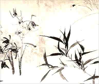 世界十大江河之大河