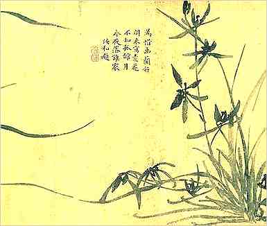 剁椒鱼用什么鱼头，你用正确了吗