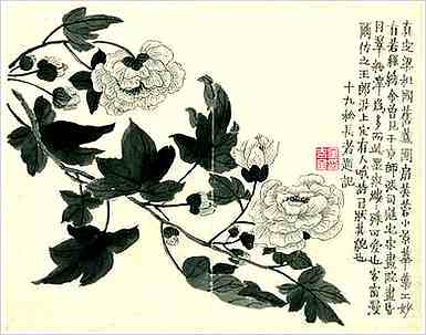 阳气虚的病症：怎样提升气血