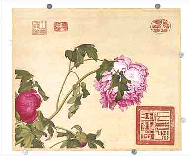 住房入户玄关放置大花瓶好么？入户玄关放置大花瓶有什么风水学注重？