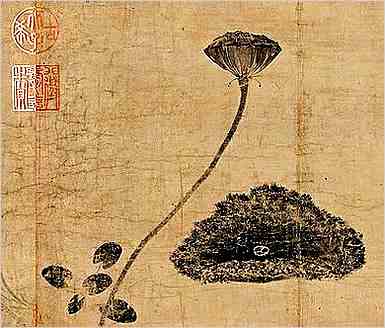 降霜一般出現在哪个时节：：24节气之降霜的特性