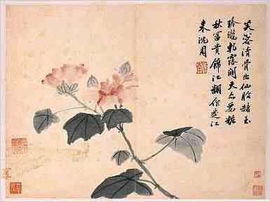 风水知识中餐厅厨房有哪些忌讳吗？