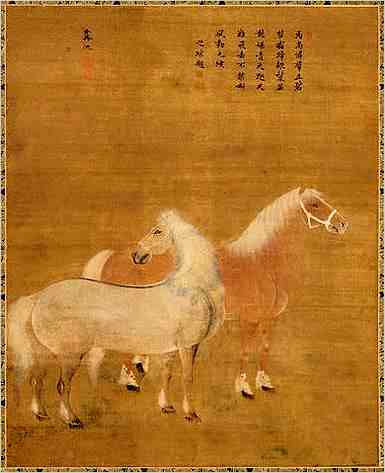 面相图解：鼻头有肉的女人命好吗
