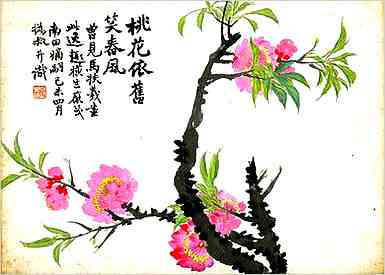 客家擂茶文化艺术之客家擂茶食谱大全