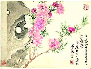 菠萝蜜酵素的功效与作用