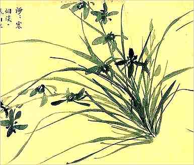 史部.明儒学案.明儒学案·崇仁学案·太仆夏东巖先生尚朴