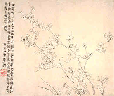 【小圃手植红梅始花赏以长句】原文-清.厉鹗