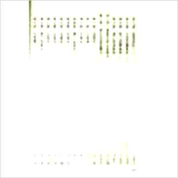 堃元《指掌玄微集》相学书